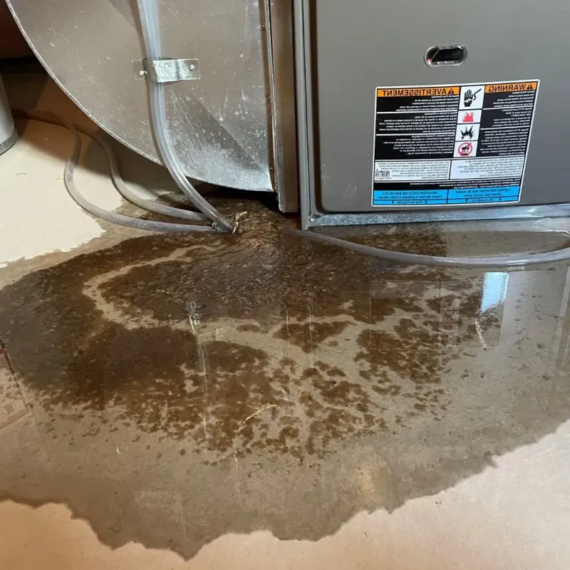 Pipe Burst and Leak Restoration in Barren County, KY