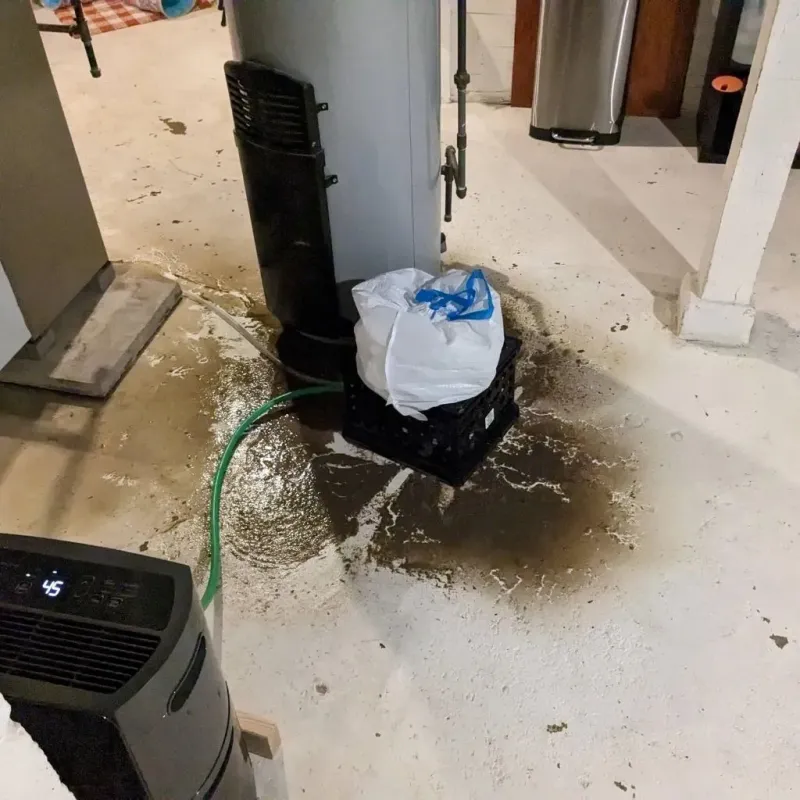 Sewage Backup Cleanup Service in Barren County, KY